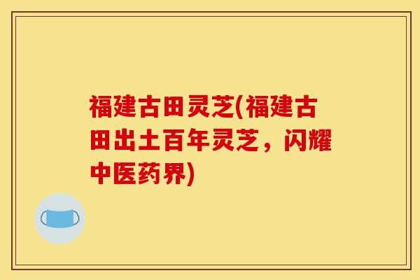 福建古田灵芝(福建古田出土百年灵芝，闪耀中医药界)-第1张图片-灵芝之家