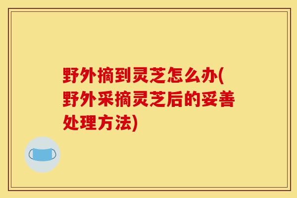 野外摘到灵芝怎么办(野外采摘灵芝后的妥善处理方法)-第1张图片-灵芝之家 野外摘到灵芝怎么办(野外采摘灵芝后的妥善处理方法)-第1张图片-灵芝之家