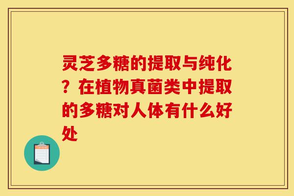 灵芝多糖的提取与纯化？在植物真菌类中提取的多糖对人体有什么好处-第1张图片-灵芝之家