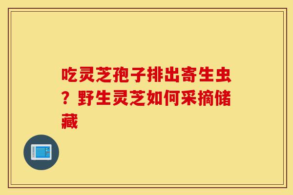 吃灵芝孢子排出寄生虫?野生灵芝如何采摘储藏-第1张图片-灵芝之家 吃灵芝孢子排出寄生虫?野生灵芝如何采摘储藏-第1张图片-灵芝之家