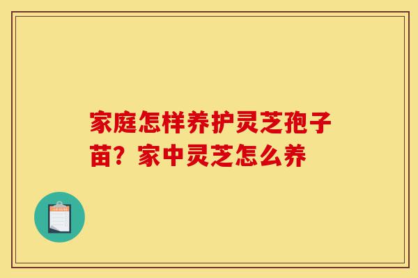 家庭怎样养护灵芝孢子苗?家中灵芝怎么养-第1张图片-灵芝之家 家庭怎样养护灵芝孢子苗?家中灵芝怎么养-第1张图片-灵芝之家