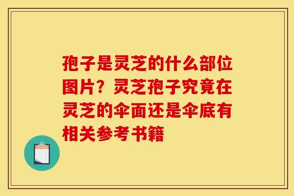 孢子是灵芝的什么部位图片?灵芝孢子究竟在灵芝的伞面还是伞底有相关参考书籍-第1张图片-灵芝之家 孢子是灵芝的什么部位图片?灵芝孢子究竟在灵芝的伞面还是伞底有相关参考书籍-第1张图片-灵芝之家