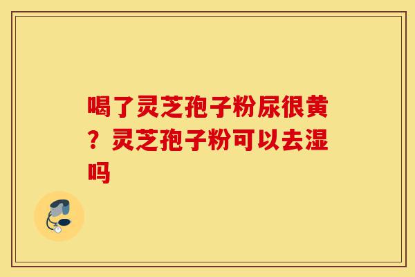 喝了灵芝孢子粉尿很黄?灵芝孢子粉可以去湿吗-第1张图片-灵芝之家 喝了灵芝孢子粉尿很黄?灵芝孢子粉可以去湿吗-第1张图片-灵芝之家