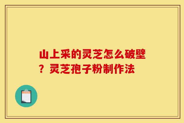 山上采的灵芝怎么破壁?灵芝孢子粉制作法-第1张图片-灵芝之家 山上采的灵芝怎么破壁?灵芝孢子粉制作法-第1张图片-灵芝之家