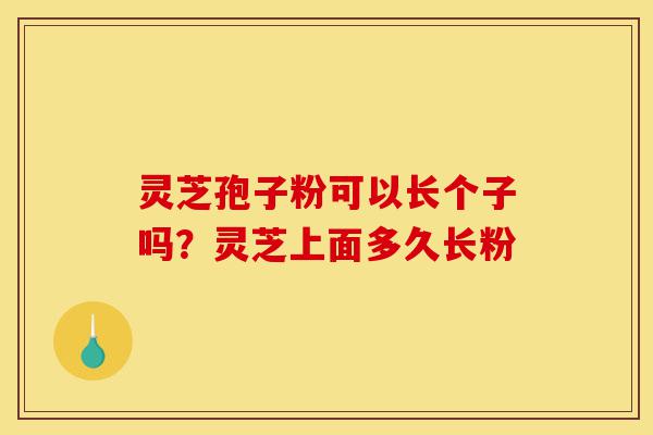 灵芝孢子粉可以长个子吗?灵芝上面多久长粉-第1张图片-灵芝之家 灵芝孢子粉可以长个子吗?灵芝上面多久长粉-第1张图片-灵芝之家