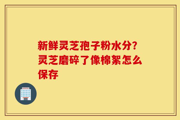 新鲜灵芝孢子粉水分？灵芝磨碎了像棉絮怎么保存-第1张图片-灵芝之家