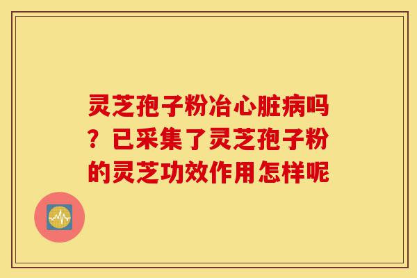 灵芝孢子粉冶心脏病吗？已采集了灵芝孢子粉的灵芝功效作用怎样呢-第1张图片-灵芝之家