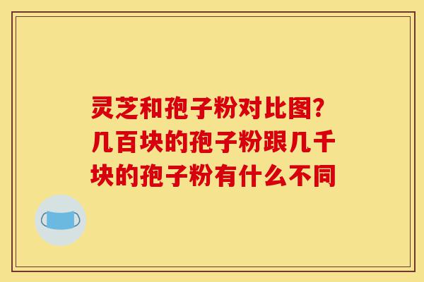 灵芝和孢子粉对比图?几百块的孢子粉跟几千块的孢子粉有什么不同-第1张图片-灵芝之家 灵芝和孢子粉对比图?几百块的孢子粉跟几千块的孢子粉有什么不同-第1张图片-灵芝之家