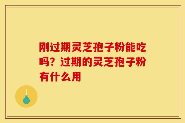 刚过期灵芝孢子粉能吃吗?过期的灵芝孢子粉有什么用-第1张图片-灵芝之家 刚过期灵芝孢子粉能吃吗?过期的灵芝孢子粉有什么用-第1张图片-灵芝之家