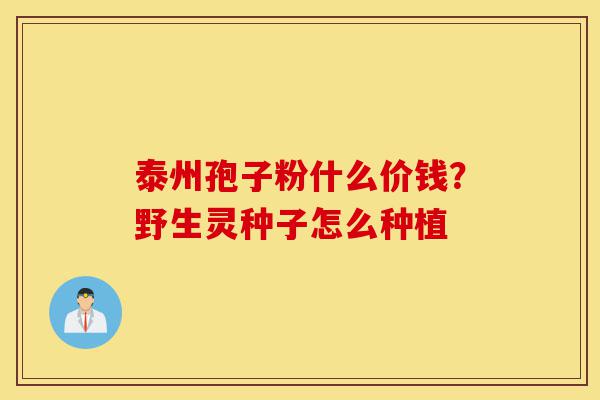 泰州孢子粉什么价钱?野生灵种子怎么种植-第1张图片-灵芝之家 泰州孢子粉什么价钱?野生灵种子怎么种植-第1张图片-灵芝之家