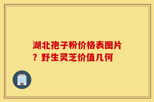 湖北孢子粉价格表图片?野生灵芝价值几何-第1张图片-灵芝之家 湖北孢子粉价格表图片?野生灵芝价值几何-第1张图片-灵芝之家