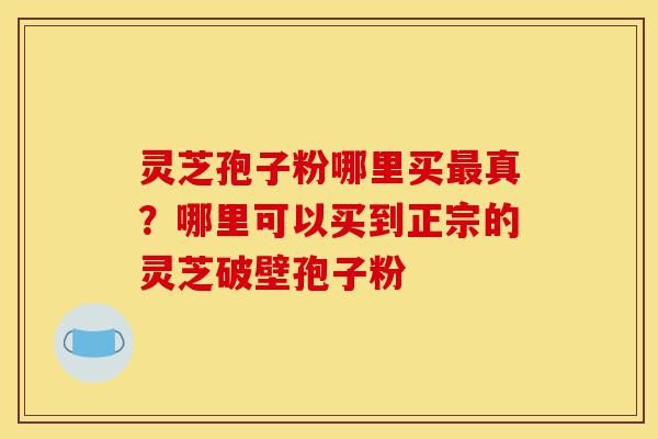 灵芝孢子粉哪里买最真？哪里可以买到正宗的灵芝破壁孢子粉-第1张图片-灵芝之家