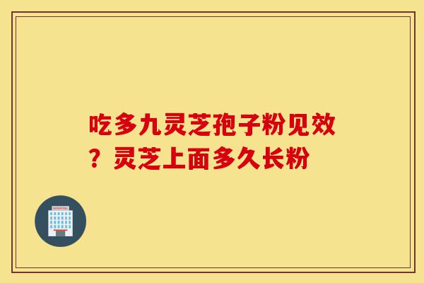 吃多九灵芝孢子粉见效?灵芝上面多久长粉-第1张图片-灵芝之家 吃多九灵芝孢子粉见效?灵芝上面多久长粉-第1张图片-灵芝之家