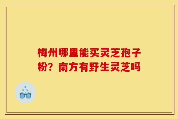 梅州哪里能买灵芝孢子粉?南方有野生灵芝吗-第1张图片-灵芝之家 梅州哪里能买灵芝孢子粉?南方有野生灵芝吗-第1张图片-灵芝之家