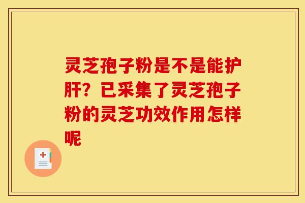 灵芝孢子粉是不是能护肝?已采集了灵芝孢子粉的灵芝功效作用怎样呢-第1张图片-灵芝之家 灵芝孢子粉是不是能护肝?已采集了灵芝孢子粉的灵芝功效作用怎样呢-第1张图片-灵芝之家