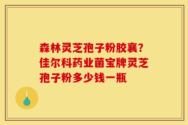 森林灵芝孢子粉胶襄?佳尔科药业菌宝牌灵芝孢子粉多少钱一瓶-第1张图片-灵芝之家 森林灵芝孢子粉胶襄?佳尔科药业菌宝牌灵芝孢子粉多少钱一瓶-第1张图片-灵芝之家