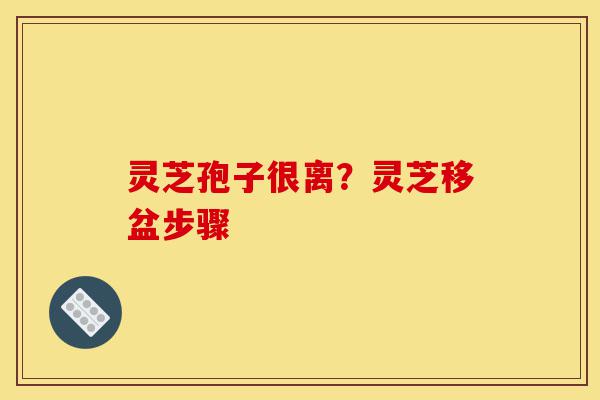 灵芝孢子很离?灵芝移盆步骤-第1张图片-灵芝之家 灵芝孢子很离?灵芝移盆步骤-第1张图片-灵芝之家