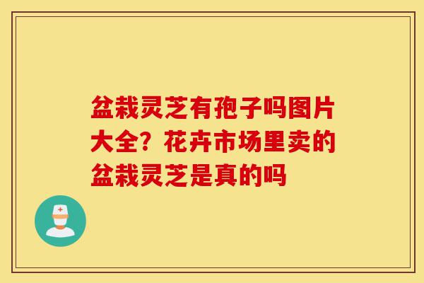 盆栽灵芝有孢子吗图片大全?花卉市场里卖的盆栽灵芝是真的吗-第1张图片-灵芝之家 盆栽灵芝有孢子吗图片大全?花卉市场里卖的盆栽灵芝是真的吗-第1张图片-灵芝之家