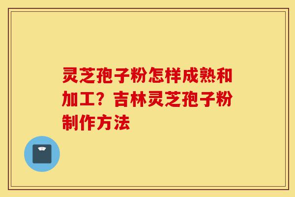 灵芝孢子粉怎样成熟和加工？吉林灵芝孢子粉制作方法-第1张图片-灵芝之家