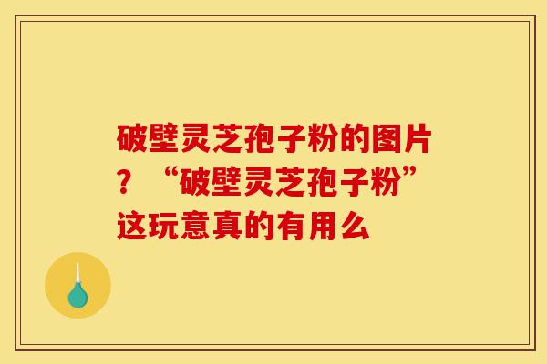 破壁灵芝孢子粉的图片?“破壁灵芝孢子粉”这玩意真的有用么-第1张图片-灵芝之家 破壁灵芝孢子粉的图片?“破壁灵芝孢子粉”这玩意真的有用么-第1张图片-灵芝之家