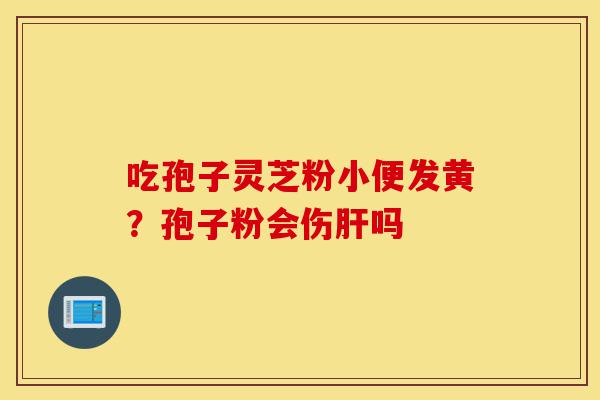 吃孢子灵芝粉小便发黄?孢子粉会伤肝吗-第1张图片-灵芝之家 吃孢子灵芝粉小便发黄?孢子粉会伤肝吗-第1张图片-灵芝之家