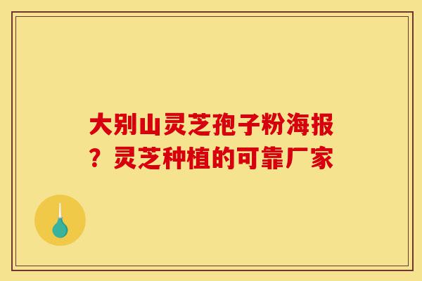 大别山灵芝孢子粉海报?灵芝种植的可靠厂家-第1张图片-灵芝之家 大别山灵芝孢子粉海报?灵芝种植的可靠厂家-第1张图片-灵芝之家
