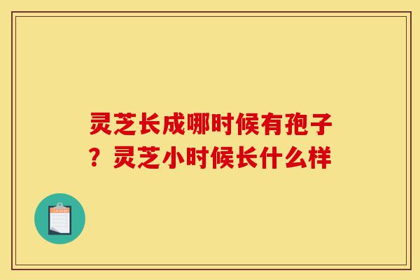 灵芝长成哪时候有孢子？灵芝小时候长什么样-第1张图片-灵芝之家