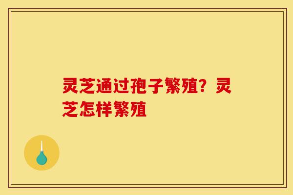 灵芝通过孢子繁殖?灵芝怎样繁殖-第1张图片-灵芝之家 灵芝通过孢子繁殖?灵芝怎样繁殖-第1张图片-灵芝之家