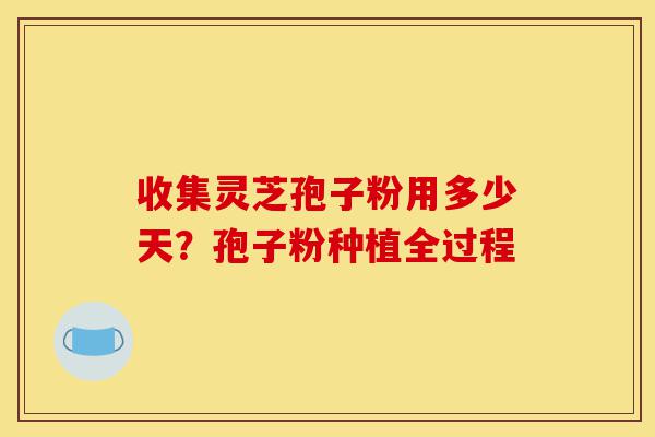 收集灵芝孢子粉用多少天?孢子粉种植全过程-第1张图片-灵芝之家 收集灵芝孢子粉用多少天?孢子粉种植全过程-第1张图片-灵芝之家