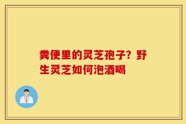 粪便里的灵芝孢子?野生灵芝如何泡酒喝-第1张图片-灵芝之家 粪便里的灵芝孢子?野生灵芝如何泡酒喝-第1张图片-灵芝之家