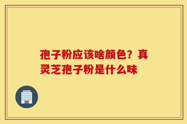 孢子粉应该啥颜色?真灵芝孢子粉是什么味-第1张图片-灵芝之家 孢子粉应该啥颜色?真灵芝孢子粉是什么味-第1张图片-灵芝之家