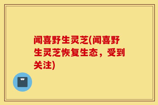 闻喜野生灵芝(闻喜野生灵芝恢复生态,受到关注)-第1张图片-灵芝之家 闻喜野生灵芝(闻喜野生灵芝恢复生态,受到关注)-第1张图片-灵芝之家