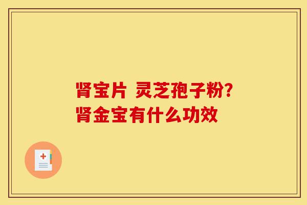 肾宝片 灵芝孢子粉?肾金宝有什么功效-第1张图片-灵芝之家 肾宝片 灵芝孢子粉?肾金宝有什么功效-第1张图片-灵芝之家