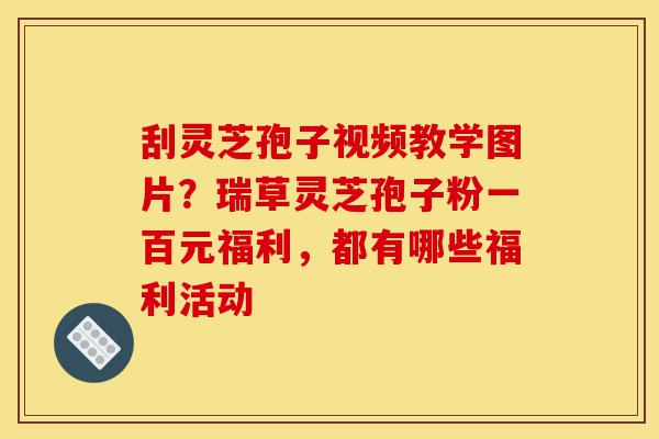 刮灵芝孢子视频教学图片?瑞草灵芝孢子粉一百元福利,都有哪些福利活动-第1张图片-灵芝之家 刮灵芝孢子视频教学图片?瑞草灵芝孢子粉一百元福利,都有哪些福利活动-第1张图片-灵芝之家