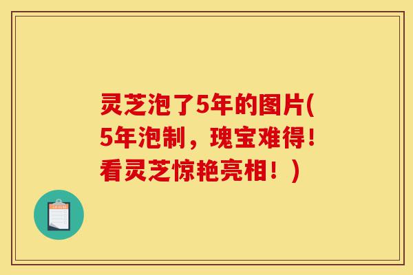 灵芝泡了5年的图片(5年泡制,瑰宝难得!看灵芝惊艳亮相!)-第1张图片-灵芝之家 灵芝泡了5年的图片(5年泡制,瑰宝难得!看灵芝惊艳亮相!)-第1张图片-灵芝之家