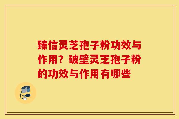 臻信灵芝孢子粉功效与作用?破壁灵芝孢子粉的功效与作用有哪些-第1张图片-灵芝之家 臻信灵芝孢子粉功效与作用?破壁灵芝孢子粉的功效与作用有哪些-第1张图片-灵芝之家