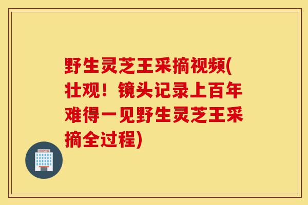 野生灵芝王采摘视频(壮观!镜头记录上百年难得一见野生灵芝王采摘全过程)-第1张图片-灵芝之家 野生灵芝王采摘视频(壮观!镜头记录上百年难得一见野生灵芝王采摘全过程)-第1张图片-灵芝之家