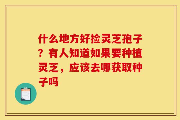 什么地方好捡灵芝孢子?有人知道如果要种植灵芝,应该去哪获取种子吗-第1张图片-灵芝之家 什么地方好捡灵芝孢子?有人知道如果要种植灵芝,应该去哪获取种子吗-第1张图片-灵芝之家
