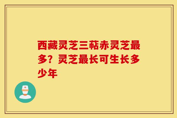 西藏灵芝三萜赤灵芝最多?灵芝最长可生长多少年-第1张图片-灵芝之家 西藏灵芝三萜赤灵芝最多?灵芝最长可生长多少年-第1张图片-灵芝之家