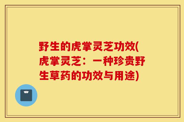 野生的虎掌灵芝功效(虎掌灵芝:一种珍贵野生草药的功效与用途)-第1张图片-灵芝之家 野生的虎掌灵芝功效(虎掌灵芝:一种珍贵野生草药的功效与用途)-第1张图片-灵芝之家