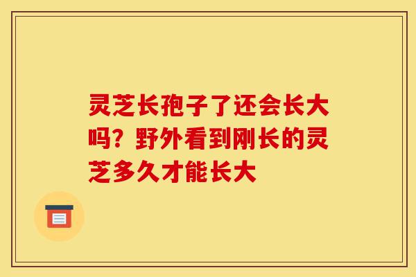 灵芝长孢子了还会长大吗?野外看到刚长的灵芝多久才能长大-第1张图片-灵芝之家 灵芝长孢子了还会长大吗?野外看到刚长的灵芝多久才能长大-第1张图片-灵芝之家