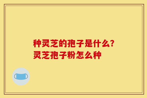 种灵芝的孢子是什么?灵芝孢子粉怎么种-第1张图片-灵芝之家 种灵芝的孢子是什么?灵芝孢子粉怎么种-第1张图片-灵芝之家