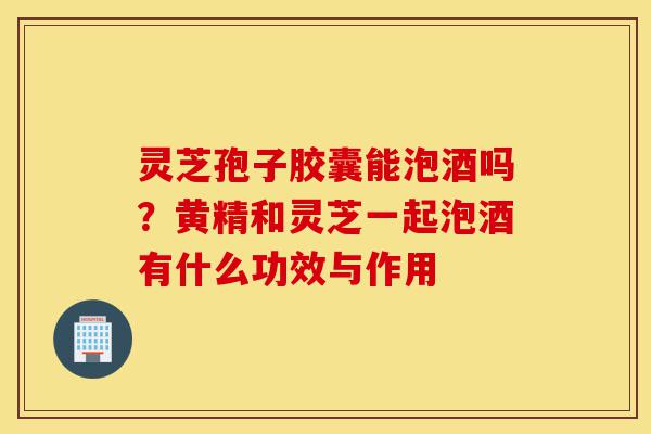 灵芝孢子胶囊能泡酒吗?黄精和灵芝一起泡酒有什么功效与作用-第1张图片-灵芝之家 灵芝孢子胶囊能泡酒吗?黄精和灵芝一起泡酒有什么功效与作用-第1张图片-灵芝之家