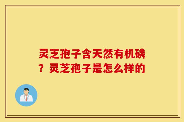 灵芝孢子含天然有机磷?灵芝孢子是怎么样的-第1张图片-灵芝之家 灵芝孢子含天然有机磷?灵芝孢子是怎么样的-第1张图片-灵芝之家