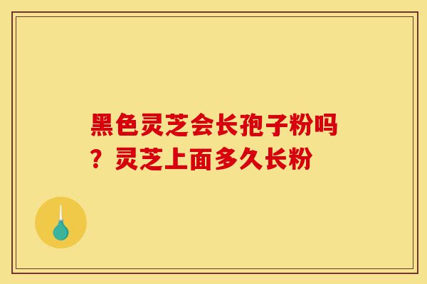 黑色灵芝会长孢子粉吗?灵芝上面多久长粉-第1张图片-灵芝之家 黑色灵芝会长孢子粉吗?灵芝上面多久长粉-第1张图片-灵芝之家