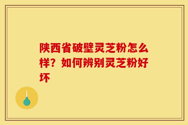 陕西省破壁灵芝粉怎么样?如何辨别灵芝粉好坏-第1张图片-灵芝之家 陕西省破壁灵芝粉怎么样?如何辨别灵芝粉好坏-第1张图片-灵芝之家