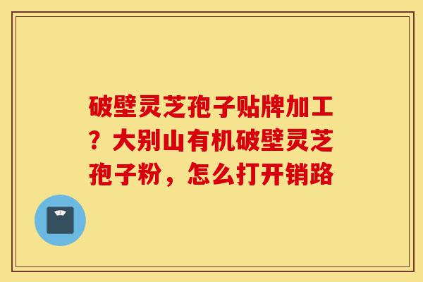 破壁灵芝孢子贴牌加工？大别山有机破壁灵芝孢子粉，怎么打开销路-第1张图片-灵芝之家