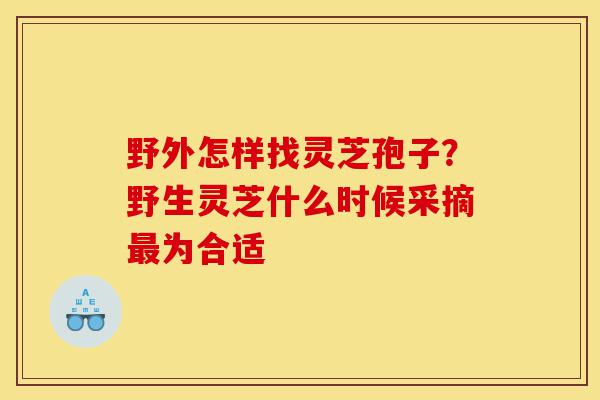 野外怎样找灵芝孢子?野生灵芝什么时候采摘最为合适-第1张图片-灵芝之家 野外怎样找灵芝孢子?野生灵芝什么时候采摘最为合适-第1张图片-灵芝之家