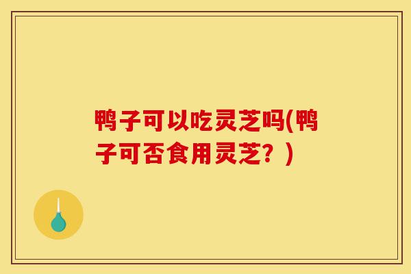 鸭子可以吃灵芝吗(鸭子可否食用灵芝?)-第1张图片-灵芝之家 鸭子可以吃灵芝吗(鸭子可否食用灵芝?)-第1张图片-灵芝之家