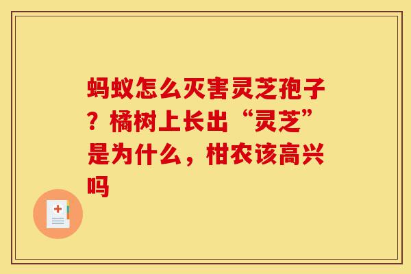 蚂蚁怎么灭害灵芝孢子?橘树上长出“灵芝”是为什么,柑农该高兴吗-第1张图片-灵芝之家 蚂蚁怎么灭害灵芝孢子?橘树上长出“灵芝”是为什么,柑农该高兴吗-第1张图片-灵芝之家